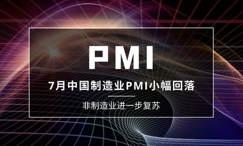 7月中国制造业PMI小幅回落至49 7月中国制造业PMI小幅回落至49