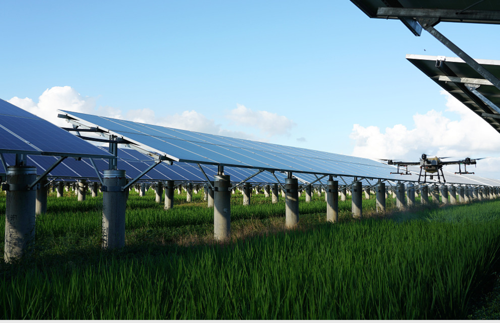 中国东部浙江省温州市光伏发电基地。/CFP