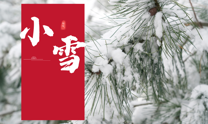 「今日小雪」拜高高材愿您遇见冬日的温暖与期待！