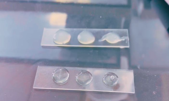 拜高高材胶黏剂科普|有机硅缩合型胶黏剂常见问题及解决方案